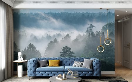 Transform Your Space with Stunning Mural Wallpapers