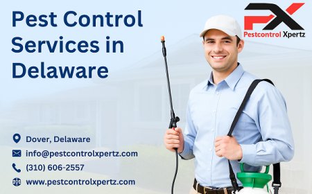 Complete Guide to Pest Control in Glasgow: Protecting Your Home Year-Round