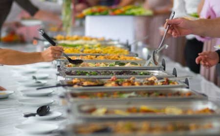 How Contract Catering Services Transform Modern Business Food Solutions