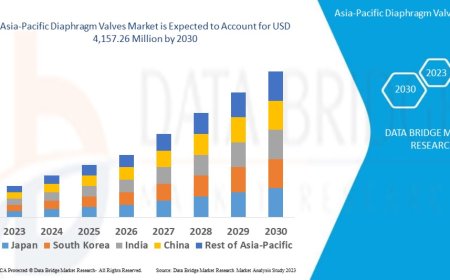 Asia-Pacific Diaphragm Valves Market Opportunities: Growth, Share, Value, Size, and Scope
