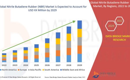Nitrile Butadiene Rubber (NBR) Market : Supply Chain, Pricing, and Forecast 2025 –2032