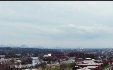 Best Online Education Workshops for Professional Development