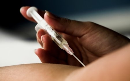 Global Soliris Market Decline: Trends, Challenges, and Strategic Outlook