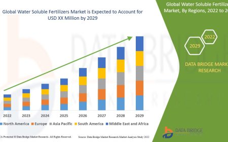 Water Soluble Fertilizers Market : Insights, Key Players, and Growth Analysis 2025 –2032