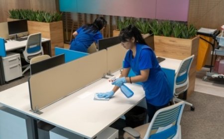 Who Is the Best Person to Clean Your Office?