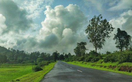 Scenic Escapes: Why a Road Trip from Mumbai to Nashik is the Perfect Weekend Getaway