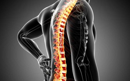 Axial Spondyloarthritis Market Size, Trends, and Strategic Outlook 2025-2032