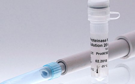 Proteinase K Market Growth, Trends, and Strategic Insights to 2032