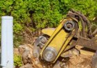 Stump Grinding: The Complete Guide to Removing Tree Stumps the Right Way