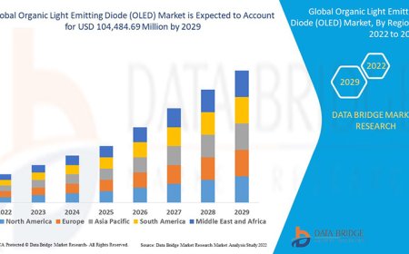 Organic Light Emitting Diode (OLED) Market Overview: Key Drivers and Challenges