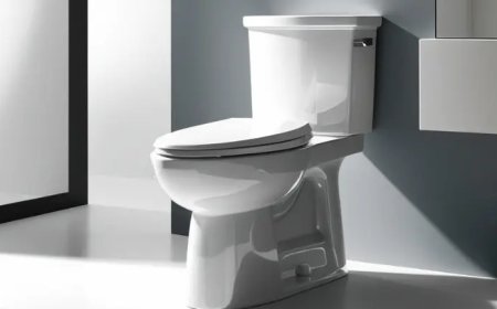 Durable and Stylish: Discover Glacier Bay Toilet Seats Today