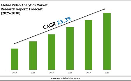 Video Analytics Market Size & Share 2030 Key Trends & Projections
