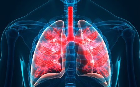 Idiopathic Pulmonary Fibrosis Market Size, Trends, and Strategic Outlook 2025-2032
