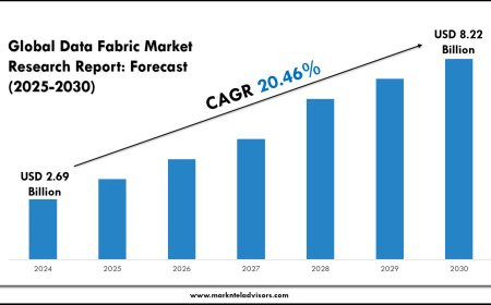 Data Fabric Market Growth Analysis & Outlook