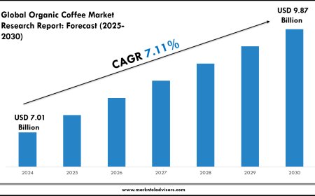 Organic Coffee Market Size & Share 2030 Key Trends & Projections