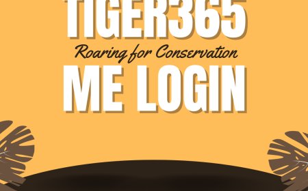 Tiger365.pr0 – Trusted Betting Platform for All Gamers