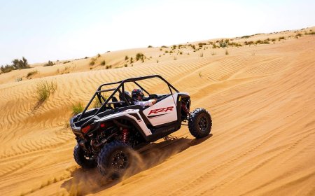 Plan a Dune Buggy Ride with BBQ Dinner in Dubai