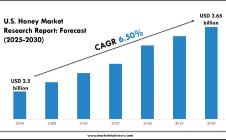 U.S. Honey Market Share, Value & Industry Trends