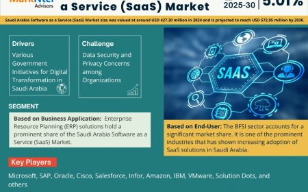Saudi Arabia Software as a Service (SaaS) Market Size, Share, Growth Analysis, Report 2025-2030