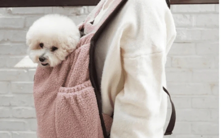 Choosing the Perfect Dog Carrier for Your Pet's Comfort and Safety