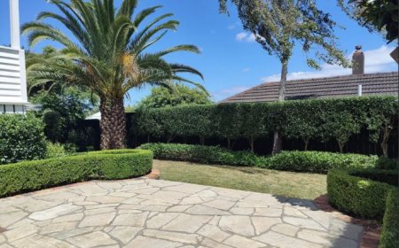 Discover the Professionals Leading Landscaping in Auckland with Award Winning Designs