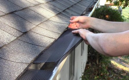 Leaf Guard Installation Broken Arrow, OK