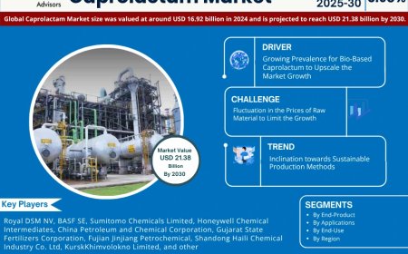 Global Caprolactam Market Size, Share, Growth Analysis, Report 2025-2030