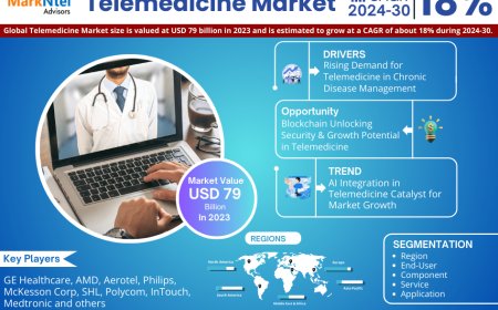 Global Telemedicine Market Size, Share, Growth Analysis, Report 2025-2030