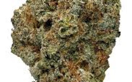 Grape Stomper: Sweet Grape Vibes and Energizing Effects