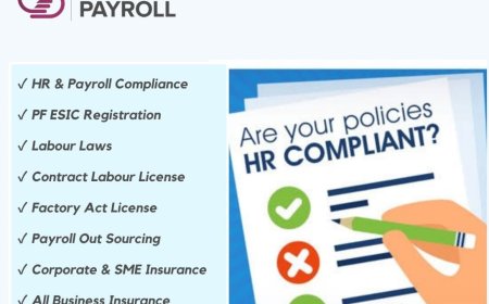 How to Choose Between Effective Payroll Services in Ahmedabad