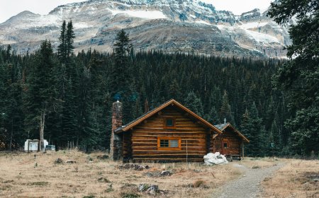 Tips To Book The Best Manu National Park Lodges