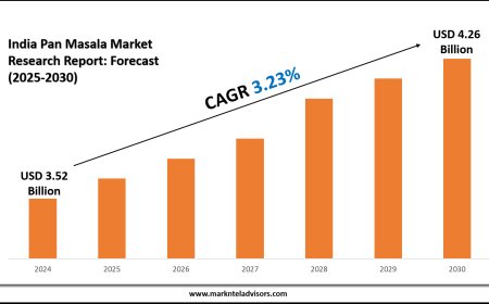 Pan Masala Market Cap Trends in India (2025–2030)