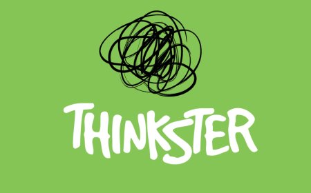 Website design company in india - Thinkster