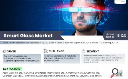 Global Smart Glass Components Market Size, Share, Growth Analysis, Report 2025-2030