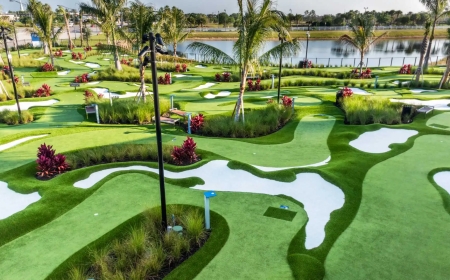 Synthetic Lawn Installation for Pet Owners: What You Need to Know