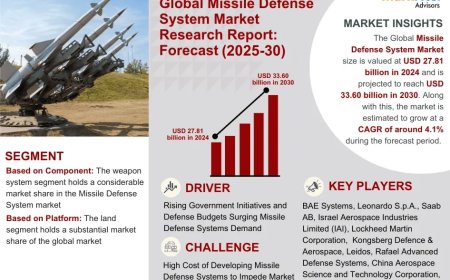Global Missile Defense System Market Size, Share, Trends, Growth Analysis, Report 2025-2030