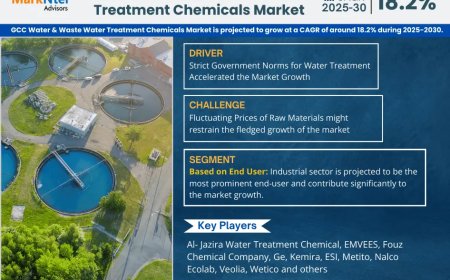 GCC Water & Waste Water Treatment Chemicals Market Size, Share, Demand, Forecast, Report 2025-2030