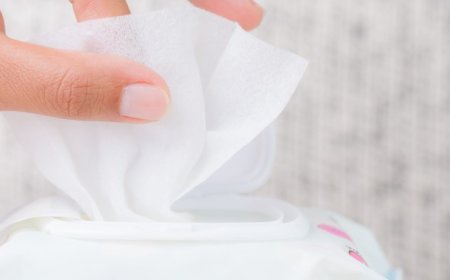 Baby Wipes Market: Size, Trends, and Strategic Outlook 2025-2032