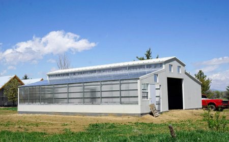 Residential Greenhouse Market Size and Growth Forecast 2025-2032