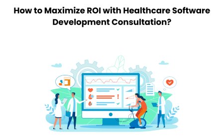 How to Maximize ROI with Healthcare Software Development Consultation?