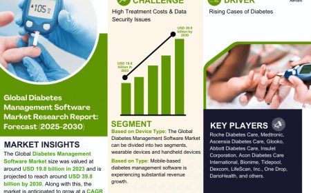 Global Diabetes Management Software Market Size, Share, Growth Analysis, Report 2025-2030