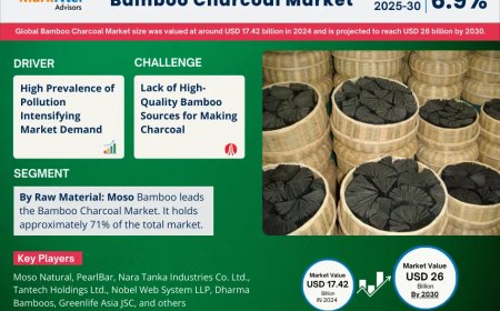 Global Bamboo Charcoal Market Size, Share, Demand, Forecast, Report 2025-2030