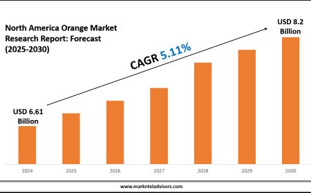 North America Orange Market Expansion Projected to USD 8.2 Billion by 2030