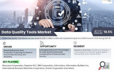 Data Quality Tools Market Overview:  Growth & Strategy
