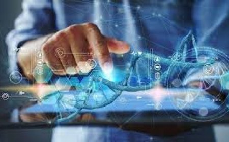 Digital Diagnostics Market Size, Trends, and Growth Forecast 2025-2032