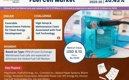 Global Fuel Cell Market Size, Share, Demand, Forecast, Report 2025-2030