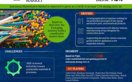 Indonesia Masterbatch Market Size, Share, Demand, Forecast, Report 2025-2030