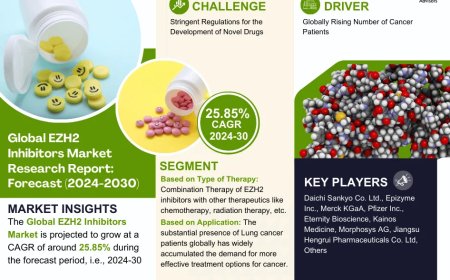EZH2 Inhibitors Market Poised for Strong 25.85% CAGR Through 2030 | Size & Opportunity Insights