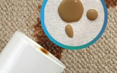 ¿Cuál es el mejor protector para muebles de tela? Guía definitiva para cuidar tu inversión