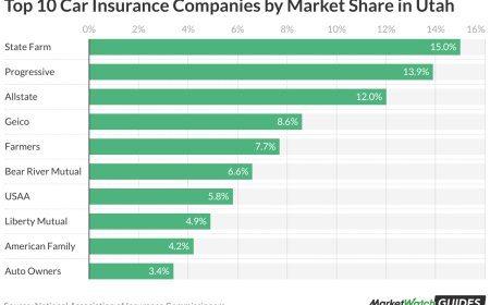 Top Budget-Friendly Insurance Companies in Salt Lake City